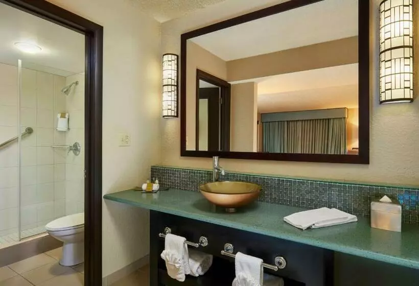 キングサイズベッドのスイートルーム, Doubletree By Hilton Hotel Orlando At Seaworld
