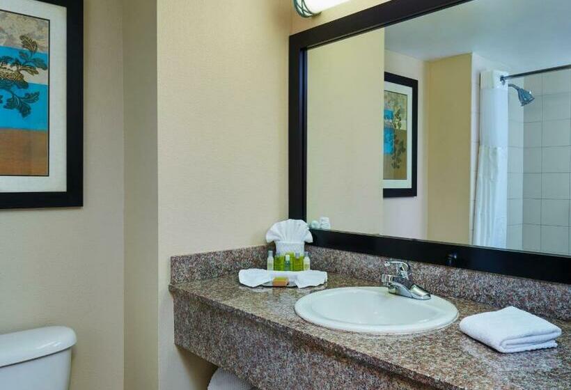 اتاق استاندارد با تخت بزرگ, Doubletree By Hilton Hotel Orlando At Seaworld