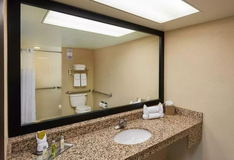 キングサイズベッドのスタンダードルーム, Doubletree By Hilton Hotel Orlando At Seaworld