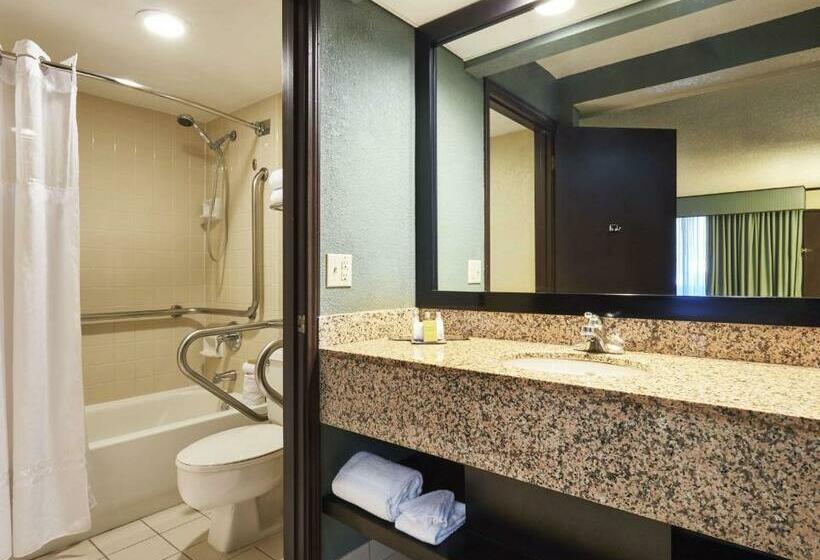 身障者適用スタンダードルーム, Doubletree By Hilton Hotel Orlando At Seaworld