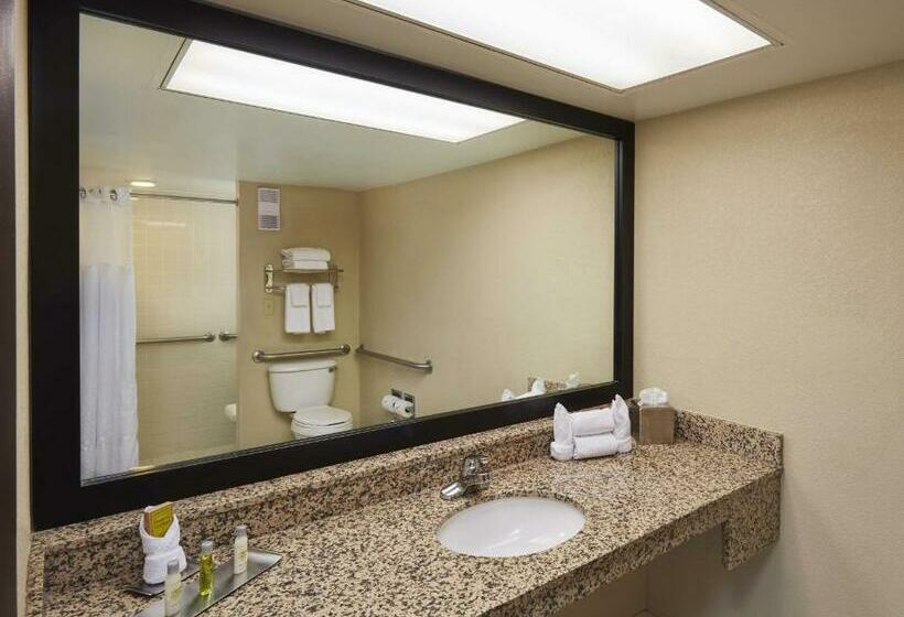 身障者適用キングサイズベッドルーム, Doubletree By Hilton Hotel Orlando At Seaworld