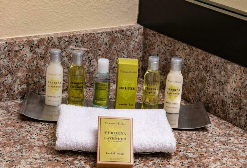 اتاق استاندارد با تخت بزرگ برای معلولان, Doubletree By Hilton Hotel Orlando At Seaworld