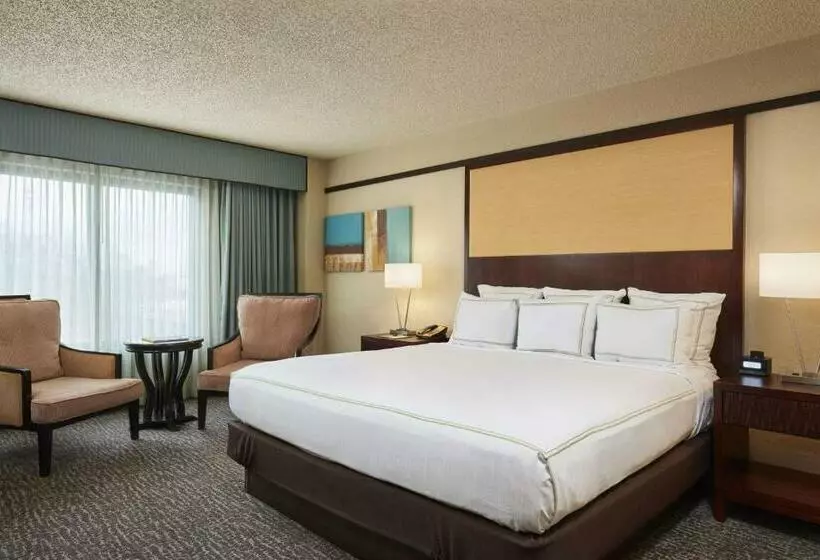 身障者適用キングサイズベッドルーム, Doubletree By Hilton Hotel Orlando At Seaworld