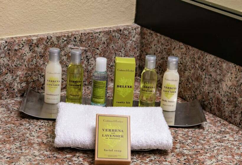 2ダブルベッドのスタンダードルーム, Doubletree By Hilton Hotel Orlando At Seaworld