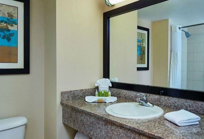 2ダブルベッドのスタンダードルーム, Doubletree By Hilton Hotel Orlando At Seaworld