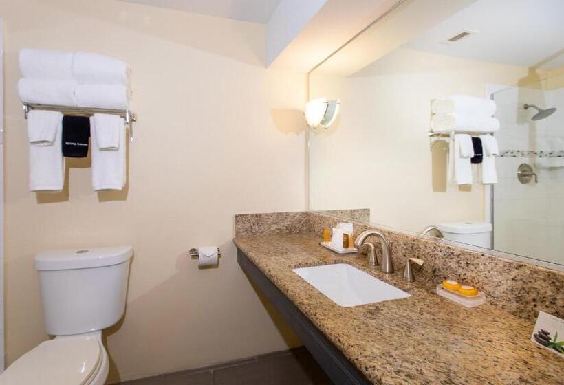 اتاق لوکس با چشمانداز دریا, Caravelle