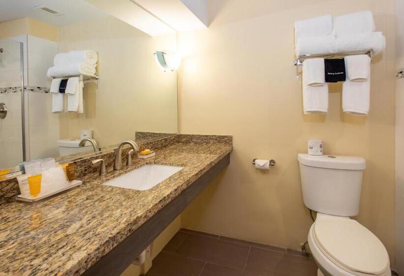 اتاق سوپریور با تخت بزرگ, Caravelle