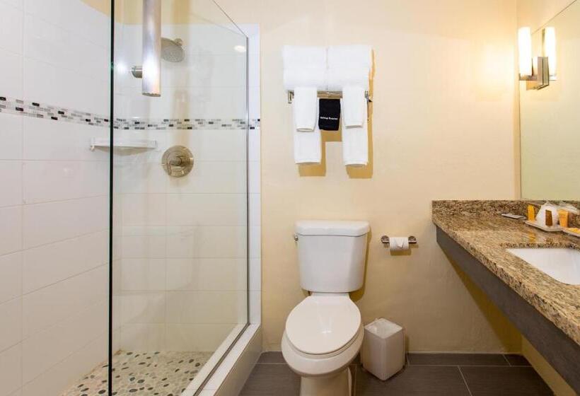 اتاق استاندارد با تخت بزرگ, Caravelle