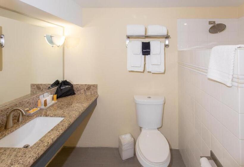 اتاق لوکس با تخت بزرگ, Caravelle