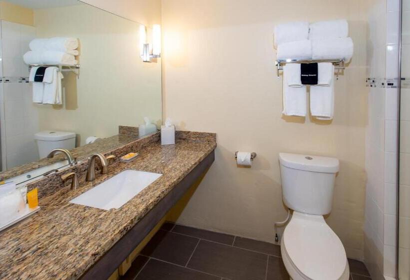 اتاق استاندارد با چشمانداز شهر, Caravelle