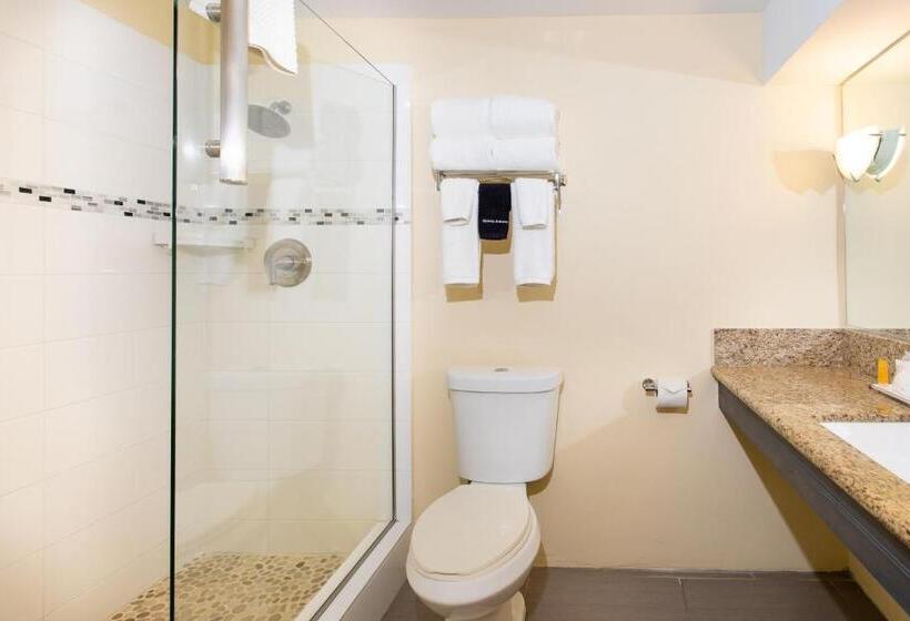 اتاق سوپریور با چشمانداز, Caravelle