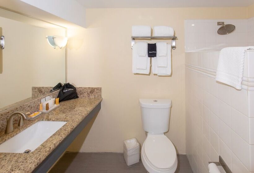 اتاق لوکس با چشمانداز دریا, Caravelle