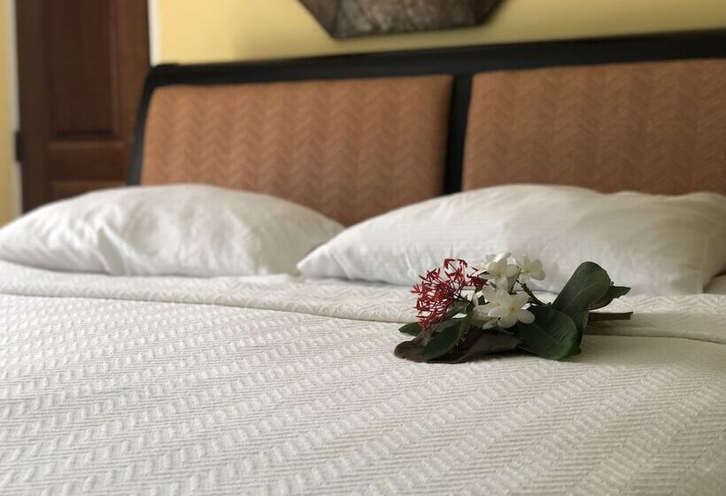 اتاق کلاسیک, Club Comanche Hotel, St. Croix