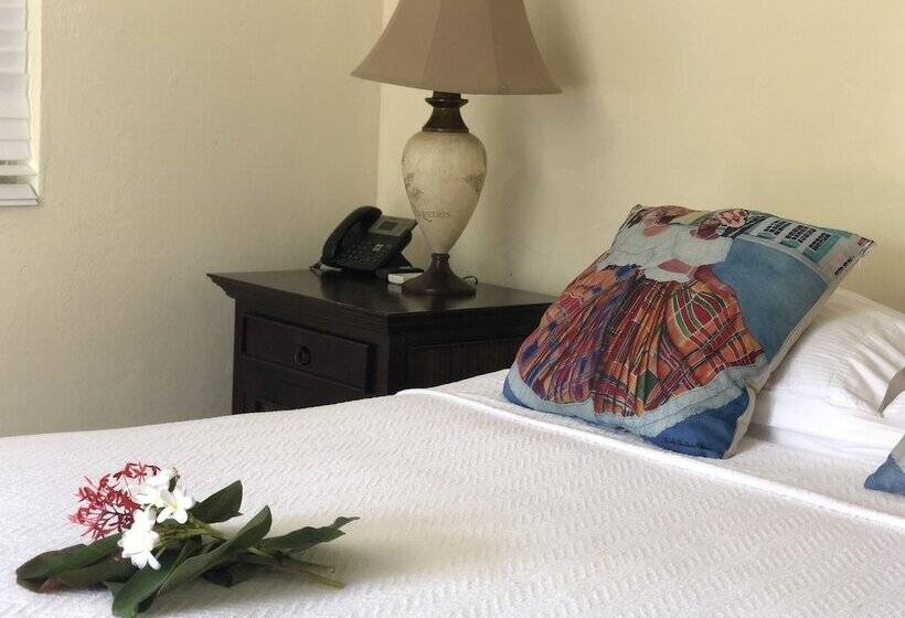 اتاق کلاسیک, Club Comanche Hotel, St. Croix