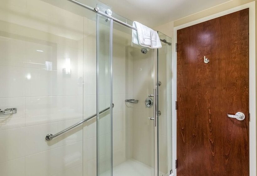 スイート, Comfort Suites St George  University Area