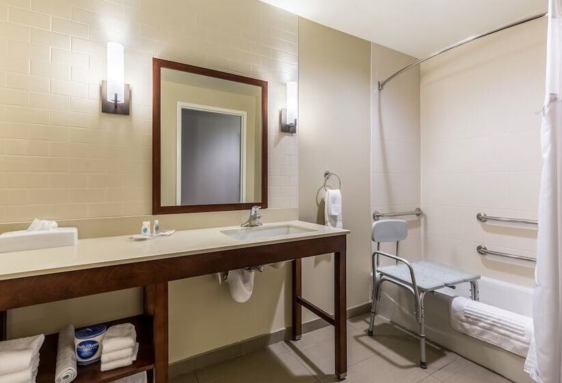 身障者適用スイートルーム, Comfort Suites St George  University Area