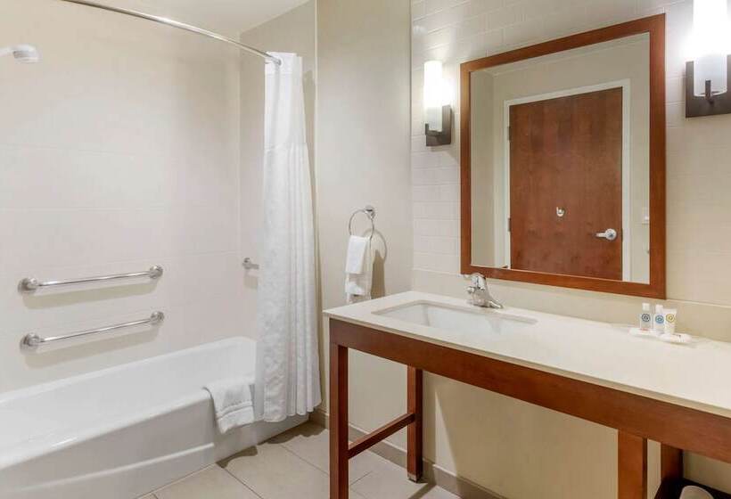 身障者適用スイートルーム, Comfort Suites St George  University Area