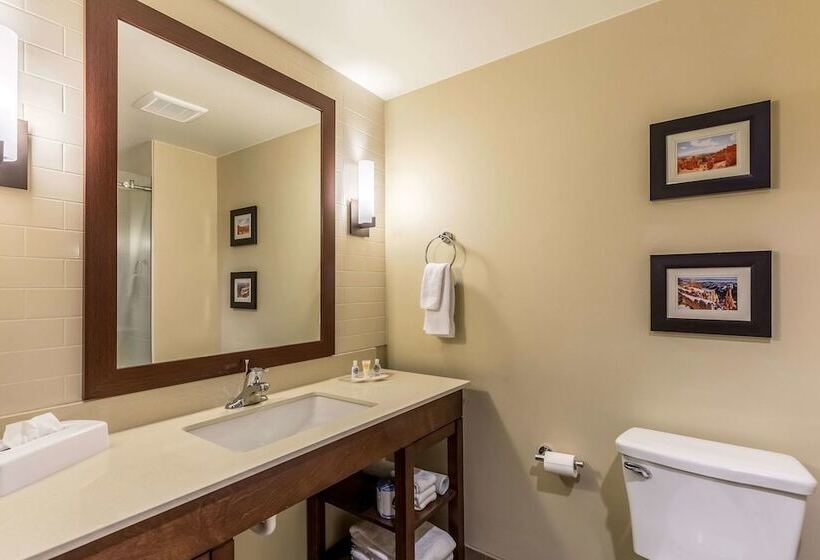 身障者適用スイートルーム, Comfort Suites St George  University Area