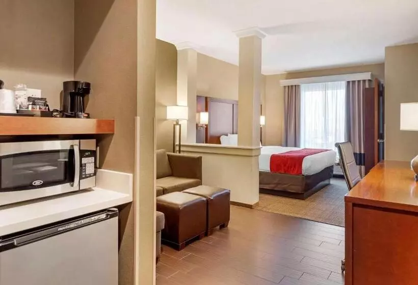 سوئیت با تخت بزرگ, Comfort Suites St George University Area