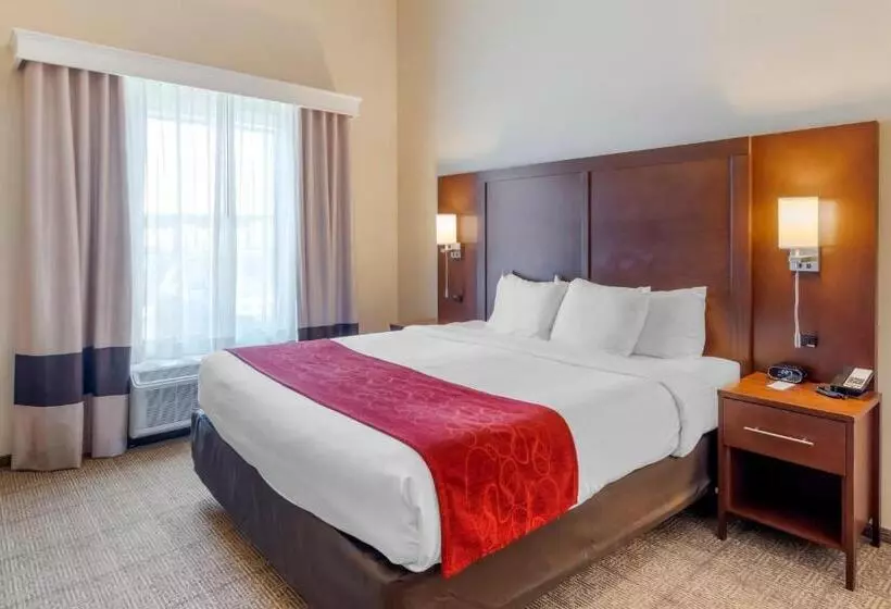 سوئیت با تخت بزرگ, Comfort Suites St George University Area
