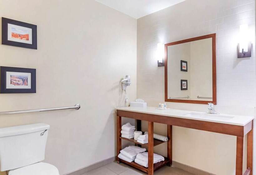 身障者適用スイートルーム, Comfort Suites St George  University Area