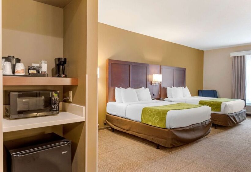 身障者適用スイートルーム, Comfort Suites St George  University Area