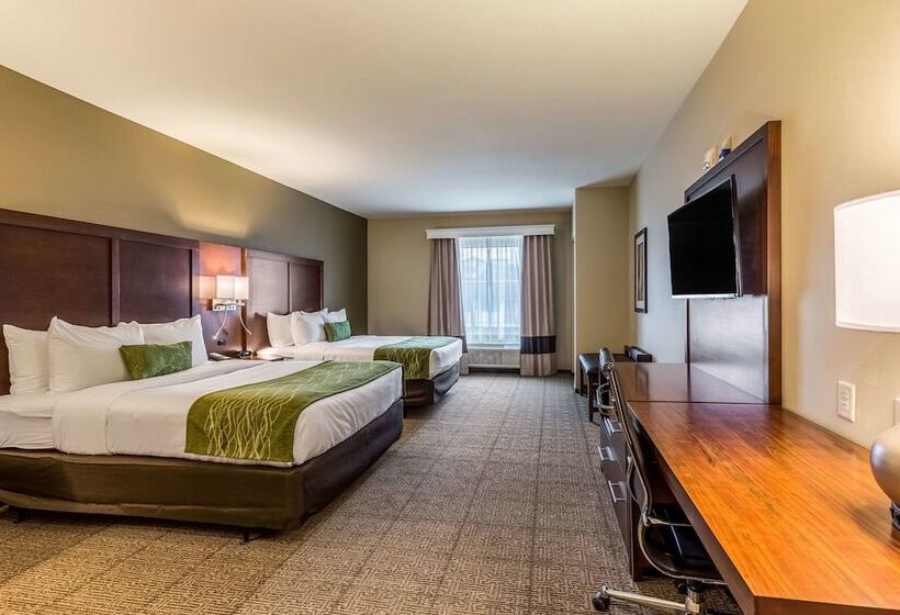 身障者適用スイートルーム, Comfort Suites St George  University Area