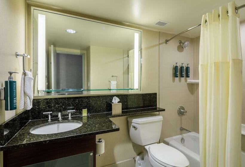 标准间带双人床, Doubletree By Hilton Hotel Denver