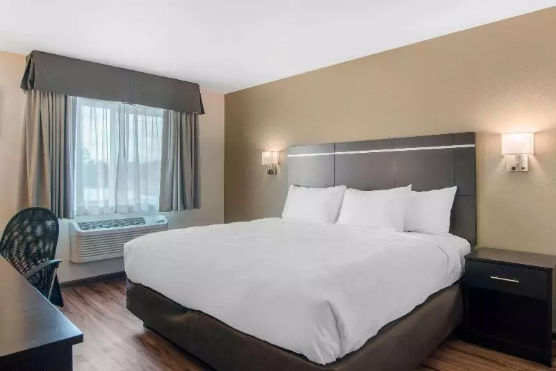 マウンテンビュースタンダードルーム, Doubletree By Hilton Hotel Denver