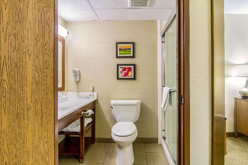 キングサイズベッドのスタンダードルーム, Doubletree By Hilton Hotel Denver
