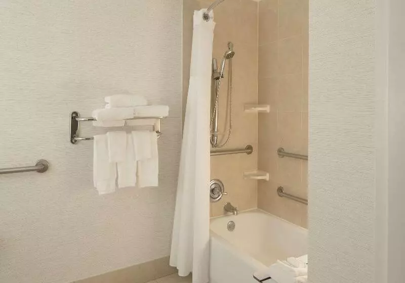 اتاق استاندارد, Hilton Garden Inn Austin Downtown