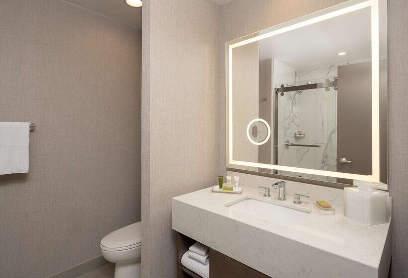 Suíte Júnior, Hilton Houston North