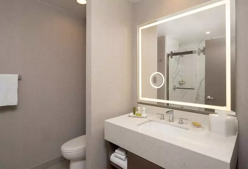 سوییت جونیور, Hilton Houston North