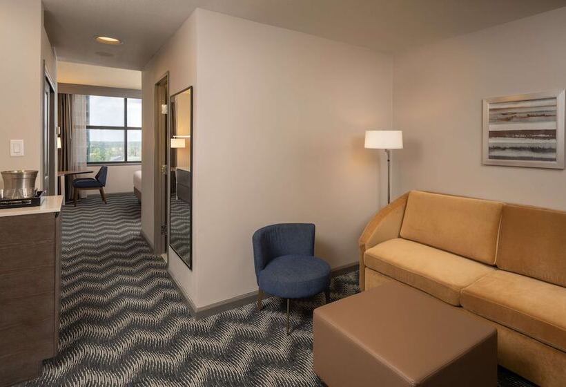 סוויטת ג'וניור, Hilton Houston North