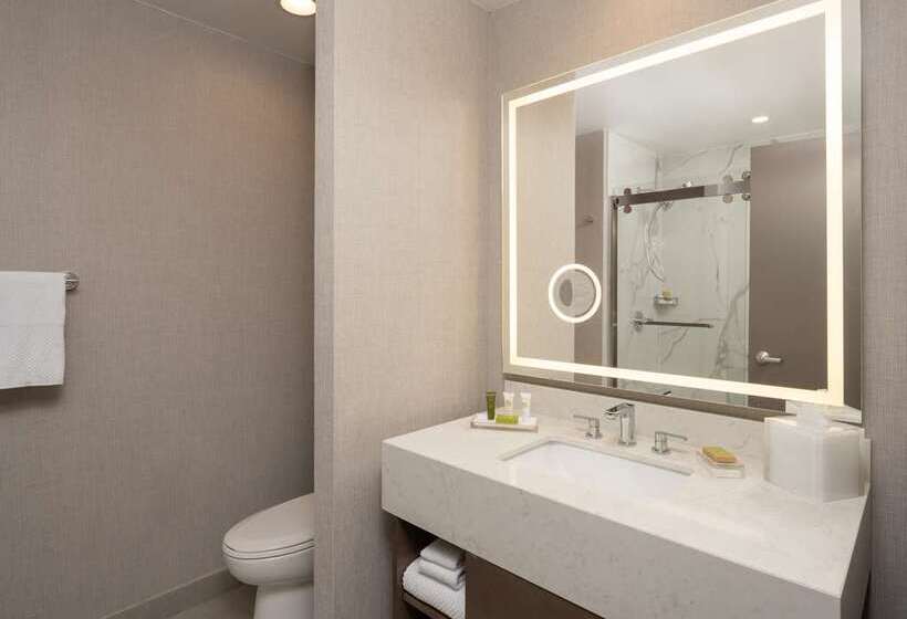 Quarto Estandar, Hilton Houston North