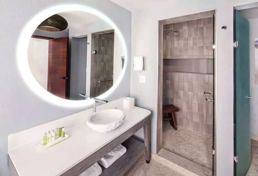 اتاق استاندارد, Hilton Houston North