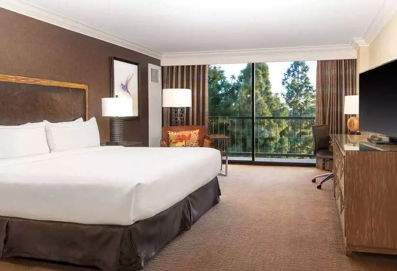اتاق استاندارد, Hilton Houston North
