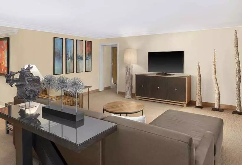 اتاق استاندارد, Hilton Houston North