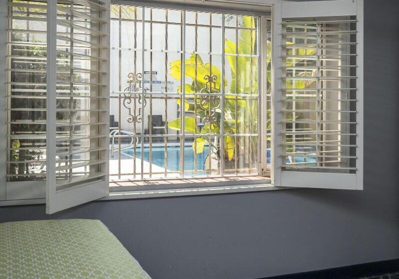 キングサイズベッドのスタンダードルーム, Dusk