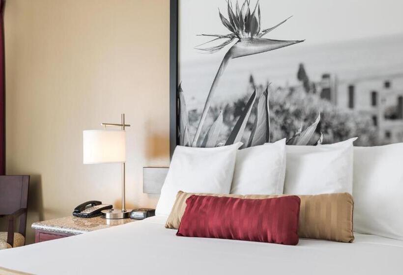 غرفة قياسية, Kings Inn Anaheim At The Park & Convention Center