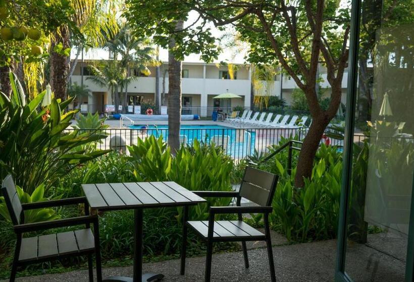 Номер Стандарт Вид на Бассейн, Lemon Tree Inn