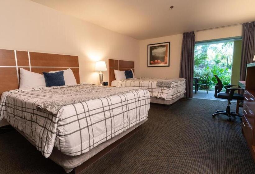 غرفة قياسية مطلّة علي حمام السباحة, Lemon Tree Inn