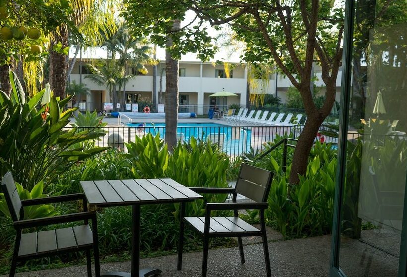 غرفة ديلوكس, Lemon Tree Inn