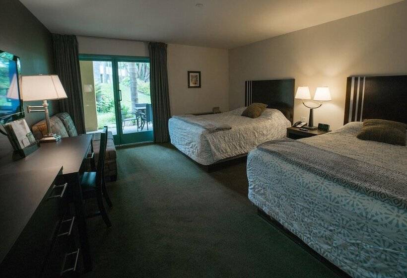 غرفة ديلوكس, Lemon Tree Inn