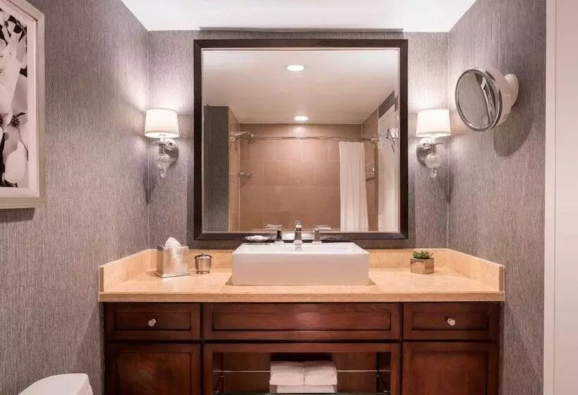اتاق کلاب, The Ritzcarlton, Atlanta