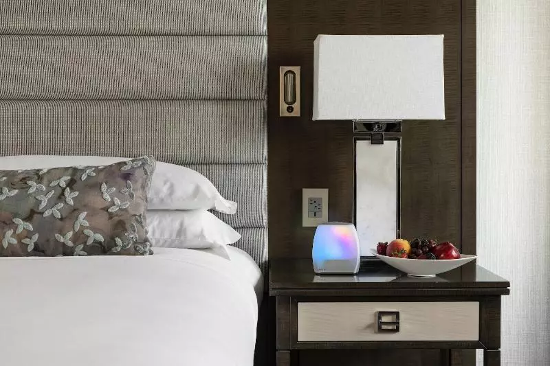 اتاق استاندارد با تخت بزرگ, The Ritzcarlton, Atlanta
