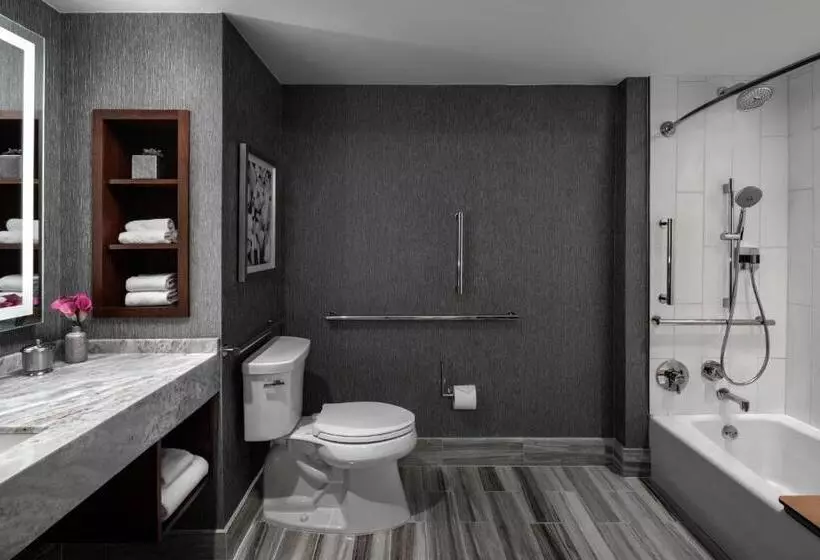 اتاق استاندارد با چشم‌انداز شهر, The Ritzcarlton, Atlanta