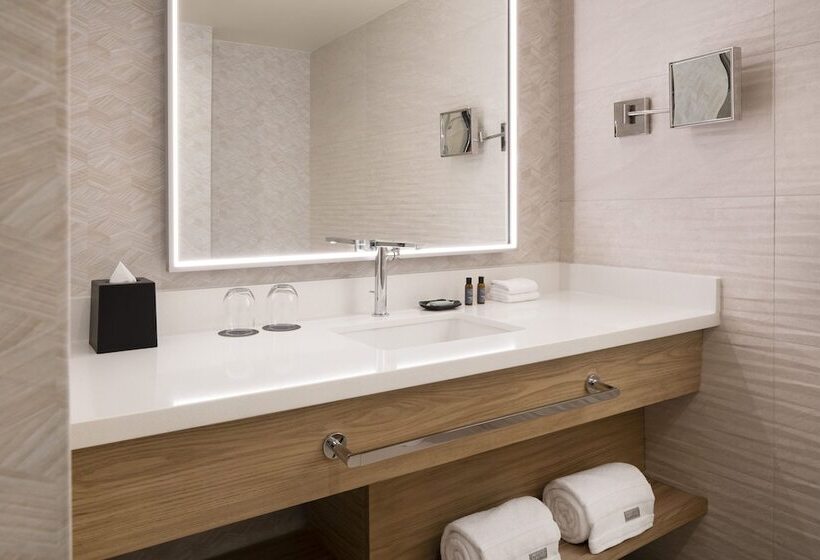 غرفة ديلوكس مطلة على المدينة, The Westin Denver Downtown