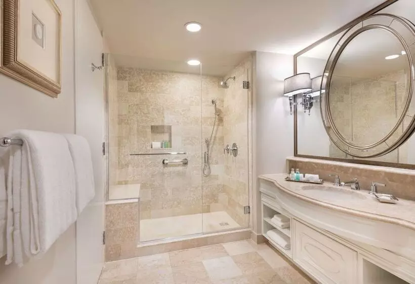 اتاق استاندارد با تخت بزرگ, The Windsor Court