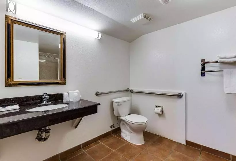 اتاق استاندارد با تخت بزرگ برای معلولان, Motel 6 San Jose, Ca Convention Center
